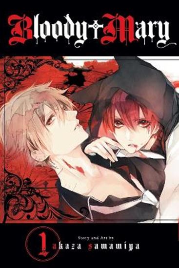 Εικόνα από BLOODY MARY 01  PA