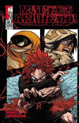 Εικόνα της MY HERO ACADEMIA, VOL. 16 PA
