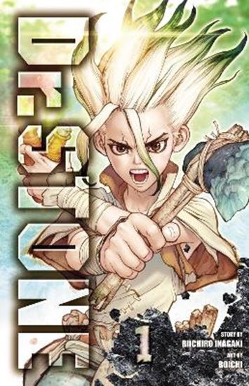 Εικόνα από DR. STONE, VOL. 01 PA