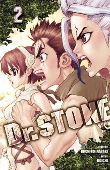 Εικόνα από DR. STONE, VOL. 02 PA