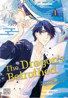 Εικόνα της DRAGON'S BETROTHED, VOL. 1 PA