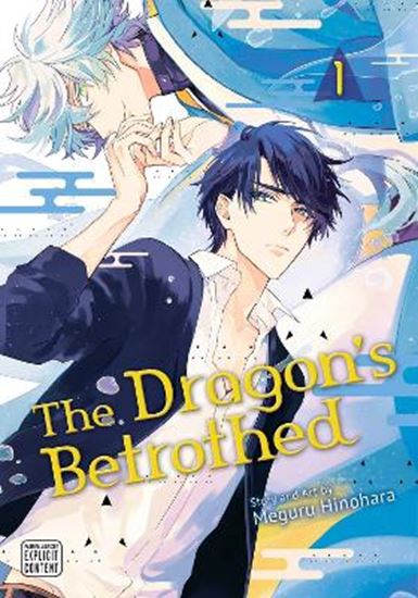 Εικόνα από DRAGON'S BETROTHED, VOL. 1 PA