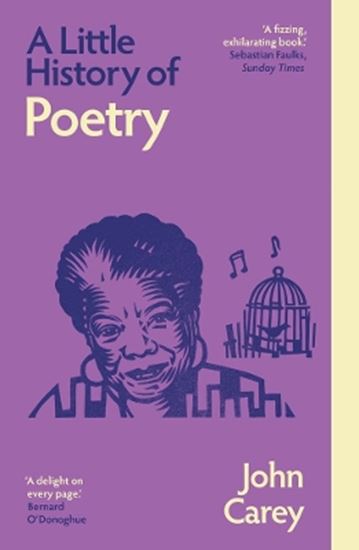 Εικόνα από A LITTLE HISTORY OF POETRY PB
