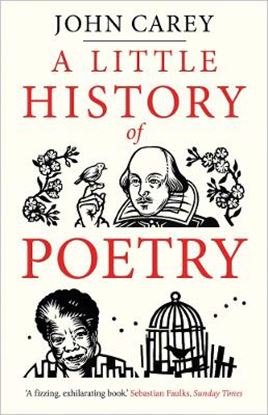 Εικόνα της A LITTLE HISTORY OF POETRY PB