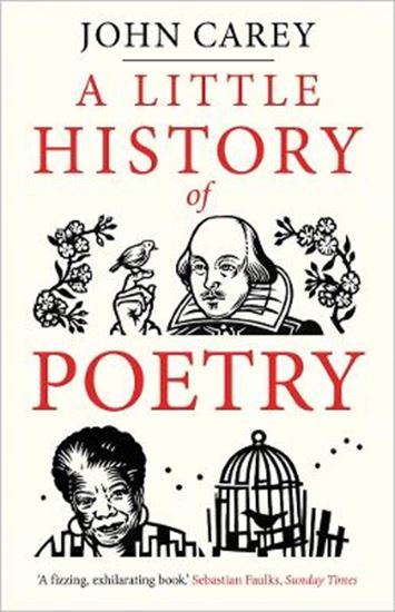 Εικόνα από A LITTLE HISTORY OF POETRY PB