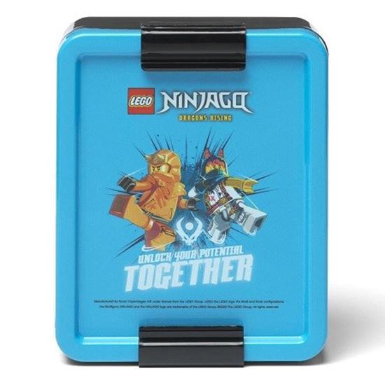 Εικόνα από LEGO® ΔΟΧΕΙΟ ΦΑΓΗΤΟΥ 1000ML NINJAGO - 40521736