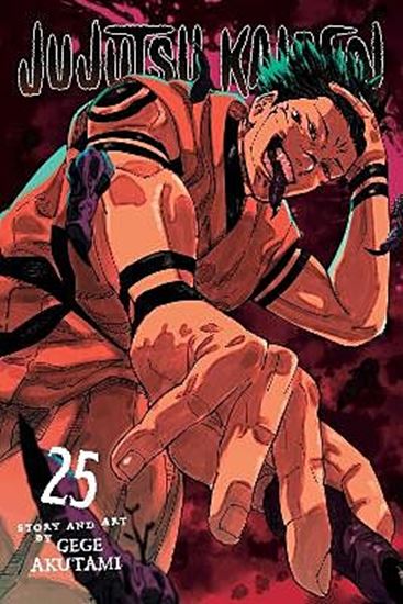 Εικόνα από JUJUTSU KAISEN, VOL. 25 PA