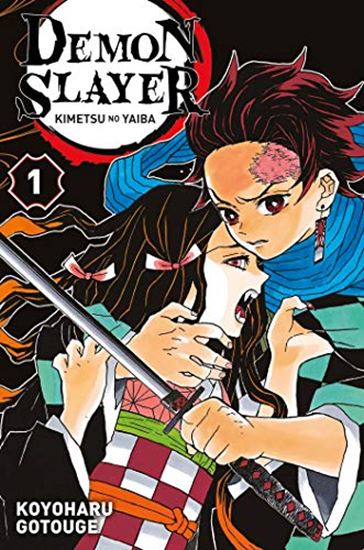 Εικόνα από DEMON SLAYER T01