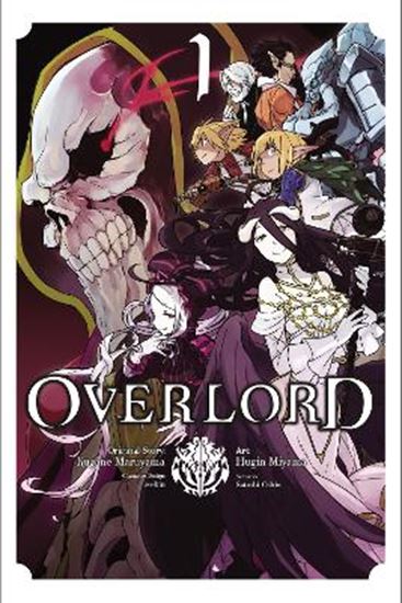 Εικόνα από OVERLORD, VOL. 1