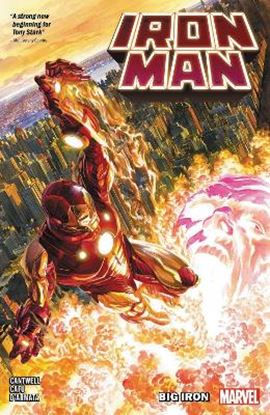 Εικόνα της IRON MAN VOL. 1     PB