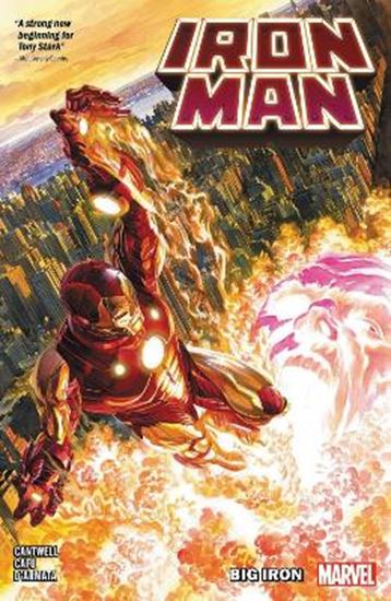 Εικόνα από IRON MAN VOL. 1     PB