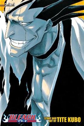 Εικόνα της BLEACH: 3-IN-1 ED V05 PA : INCLUDES VOLS. 13, 14 & 15