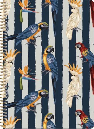 Εικόνα από LOGINOTES ΣΗΜΕΙΩΜΑΤΑΡΙΟ A5 SPIRAL LINE BLUE BIRDS