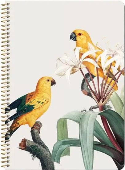 Εικόνα από LOGINOTES ΣΗΜΕΙΩΜΑΤΑΡΙΟ A5 SPIRAL LINE YELLOW BIRDS