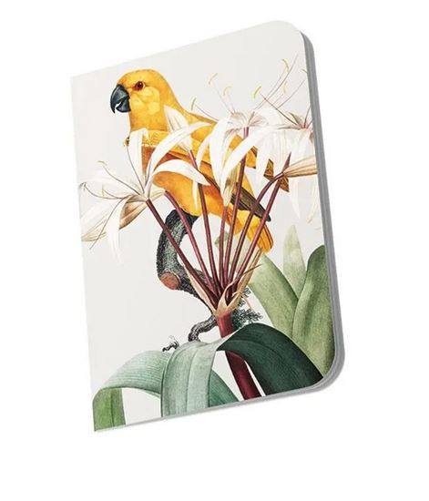 Εικόνα από LOGINOTES ΣΗΜΕΙΩΜΑΤΑΡΙΟ 9Χ14 εκ.PAPER LINE EXOTIC YELLOW BIRDS