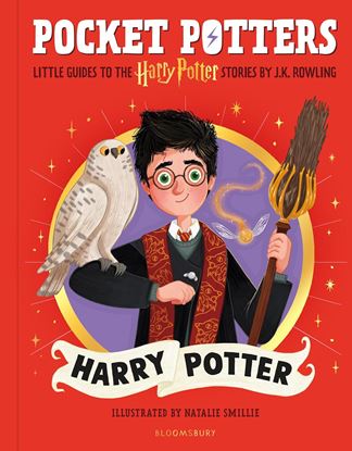 Εικόνα της POCKET POTTERS: HARRY POTTER HC