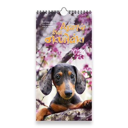 Εικόνα της ΗΜΕΡΟΛΟΓΙΟ ΤΟΙΧΟΥ 2026: "ΑΓΑΠΩ ΕΝΑ ΣΚΥΛΑΚΙ" (17Χ33)