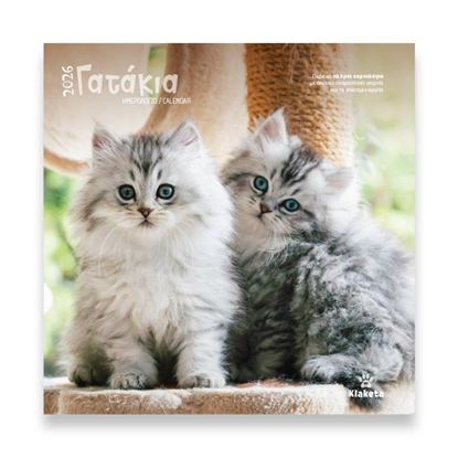 Εικόνα της ΗΜΕΡΟΛΟΓΙΟ ΤΟΙΧΟΥ 2026: ΓΑΤΑΚΙΑ (30Χ30)