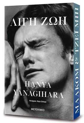 Εικόνα της ΛΙΓΗ ΖΩΗ (ΣΥΛΛΕΚΤΙΚΗ ΕΚΔΟΣΗ)