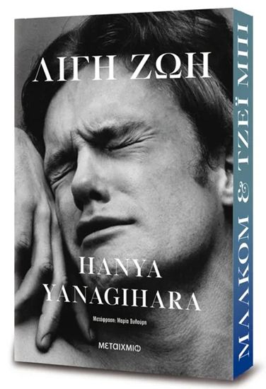 Εικόνα από ΛΙΓΗ ΖΩΗ (ΣΥΛΛΕΚΤΙΚΗ ΕΚΔΟΣΗ)