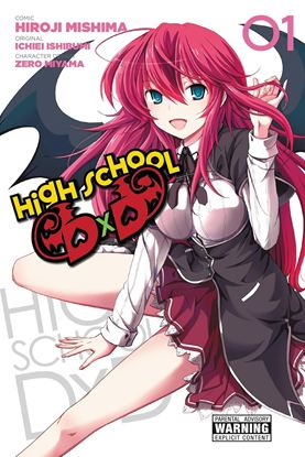 Εικόνα της HIGH SCHOOL DXD, VOL. 1