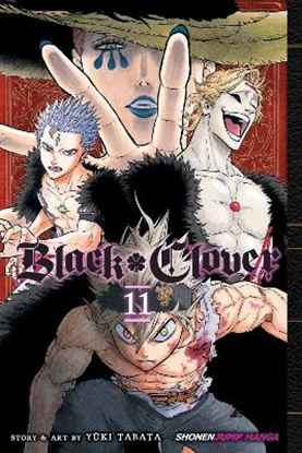 Εικόνα της BLACK CLOVER, VOL. 11 PA
