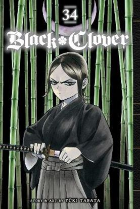 Εικόνα της BLACK CLOVER, VOL. 34 PA