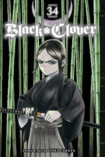 Εικόνα από BLACK CLOVER, VOL. 34 PA