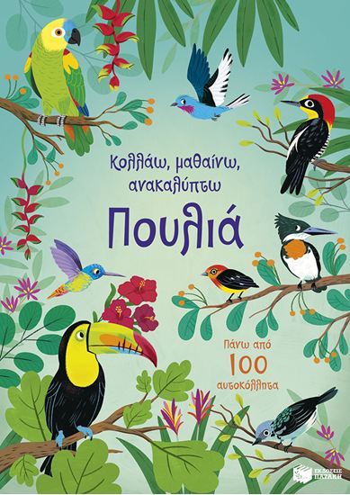 Εικόνα από ΚΟΛΛΑΩ, ΜΑΘΑΙΝΩ, ΑΝΑΚΑΛΥΠΤΩ: ΠΟΥΛΙΑ