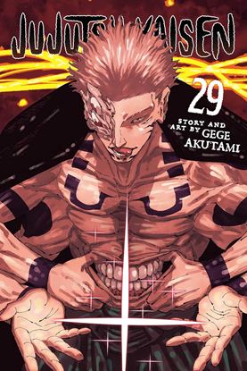 Εικόνα της JUJUTSU KAISEN, VOL. 29 PA