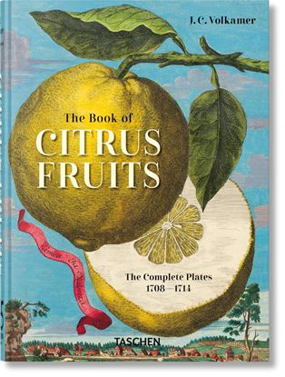 Εικόνα της TASCHEN 45TH EDITION: J. C. VOLKAMER. THE BOOK OF CITRUS FRUITS. HC