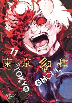 Εικόνα της TOKYO GHOUL, VOL. 11 PA