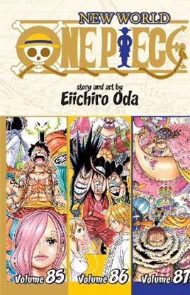 Εικόνα της ONE PIECE OMNIBUS VOL. 29 PA