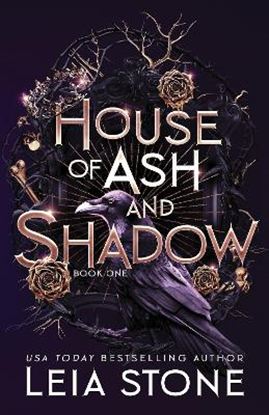 Εικόνα της GILDED CITY 1: HOUSE OF ASH AND SHADOW