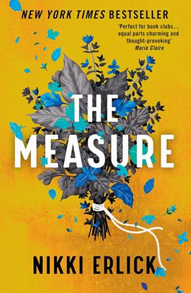 Εικόνα της THE MEASURE