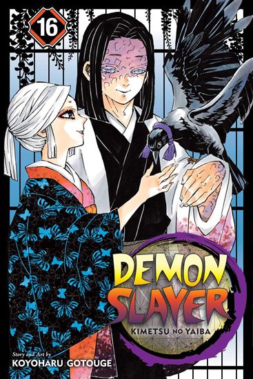 Εικόνα από DEMON SLAYER, VOL. 16 PA
