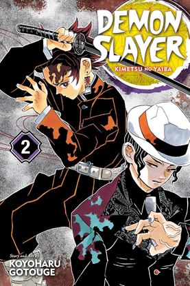 Εικόνα της DEMON SLAYER, VOL. 02 PA