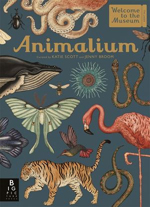 Εικόνα της WELCOME TO THE MUSEUM: ANIMALIUM