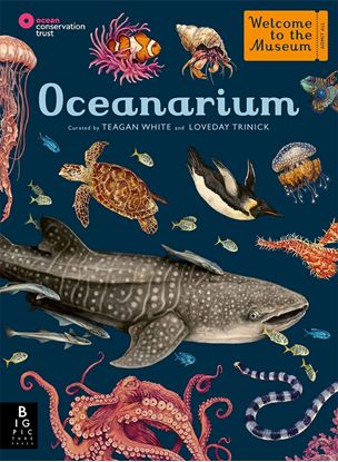 Εικόνα της WELCOME TO THE MUSEUM: OCEANARIUM