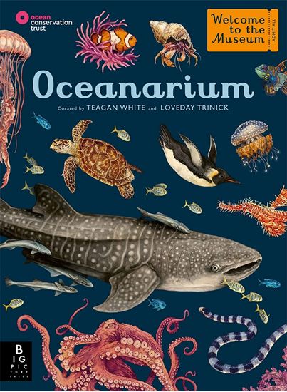 Εικόνα από WELCOME TO THE MUSEUM: OCEANARIUM