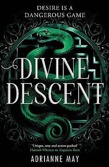 Εικόνα από THE LABYRINTH 2: DIVINE DESCENT PB