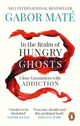 Εικόνα της IN THE REALM OF HUNGRY GHOSTS : CLOSE ENCOUNTERS WITH ADDICTION PB