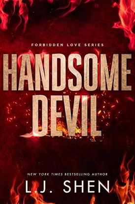 Εικόνα της FORBIDDEN LOVE SERIES 3: HANDSOME DEVIL