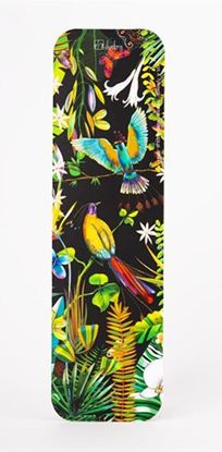 Εικόνα της ΣΕΛΙΔΟΔΕΙΚΤΗΣ BIRD OF PARADISE