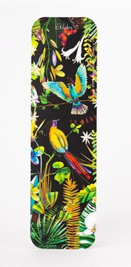 Εικόνα από ΣΕΛΙΔΟΔΕΙΚΤΗΣ BIRD OF PARADISE