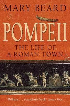 Εικόνα της POMPEII : THE LIFE OF A ROMAN TOWN