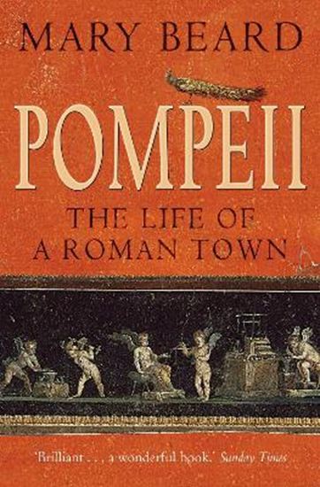 Εικόνα από POMPEII : THE LIFE OF A ROMAN TOWN