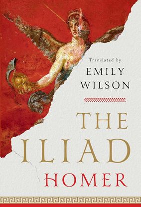 Εικόνα της THE ILIAD - TRANSLATED BY EMILY WILSON PB