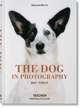 Εικόνα της TASCHEN BIBLIOTHECA UNIVERSALIS: THE DOG IN PHOTOGRAPHY HC
