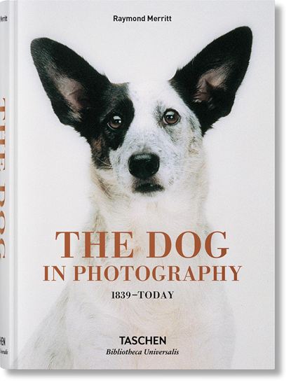 Εικόνα από TASCHEN BIBLIOTHECA UNIVERSALIS: THE DOG IN PHOTOGRAPHY HC